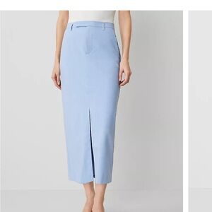 Light Blue Anne Taylor trouser Skirt